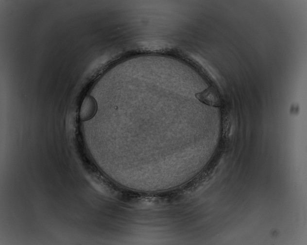 X0000101150736200807181333