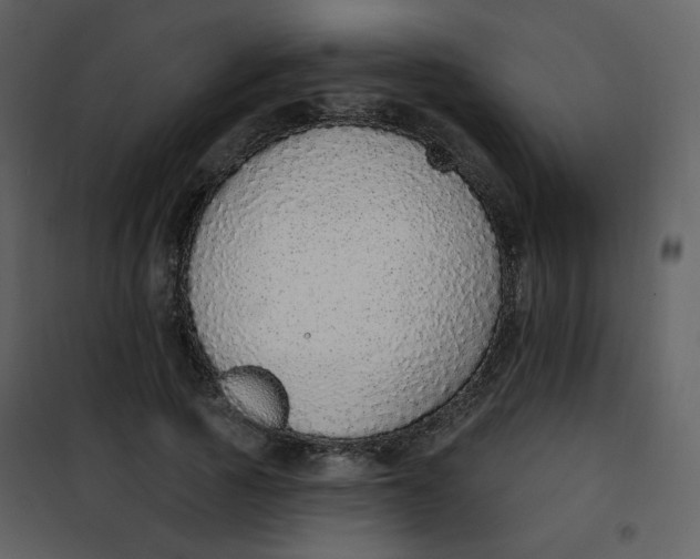 X0000101150737200807181333