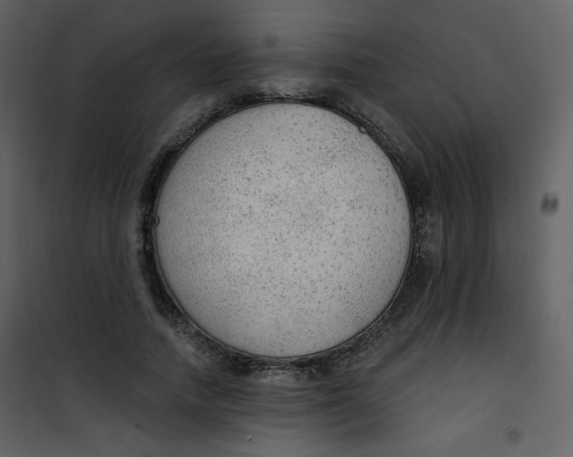 X0000101150738200807181333