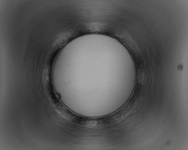 X0000101150740200807181333