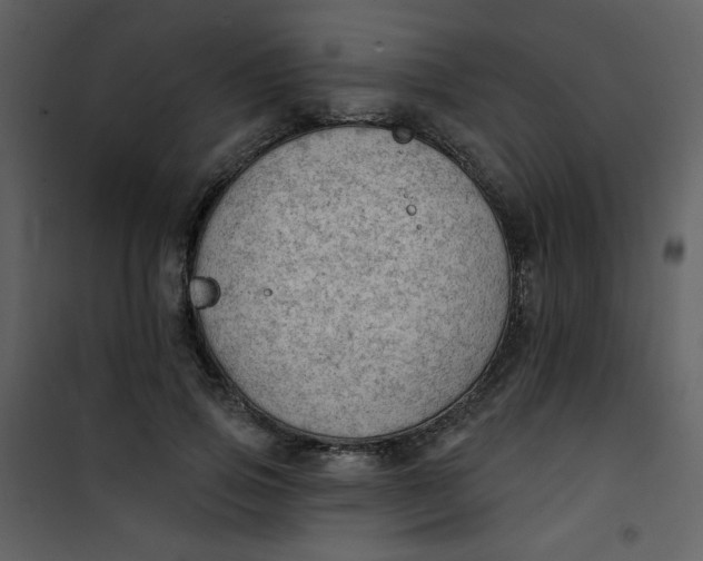 X0000101150741200807181333