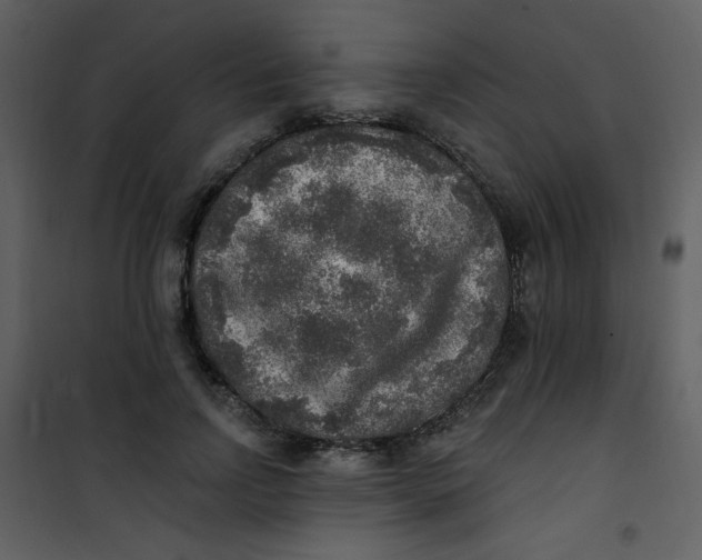 X0000101150742200807181333