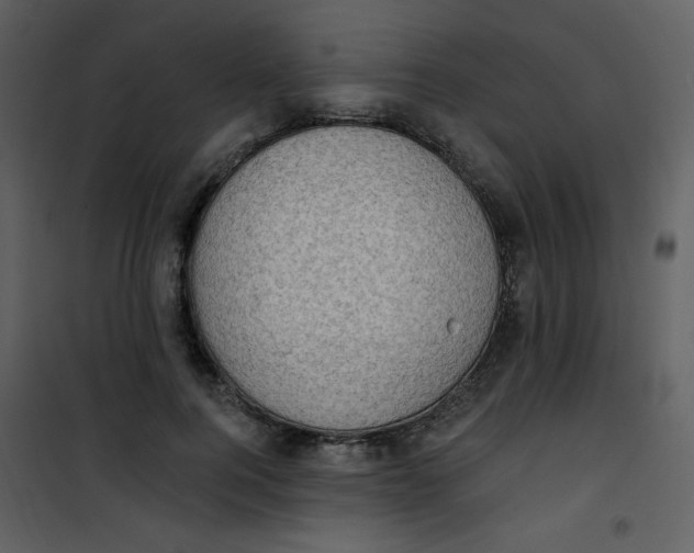 X0000101150744200807181334