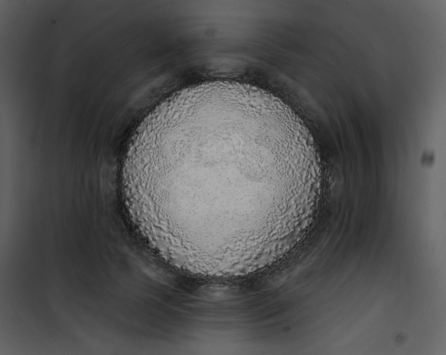 X0000101150745200807181334