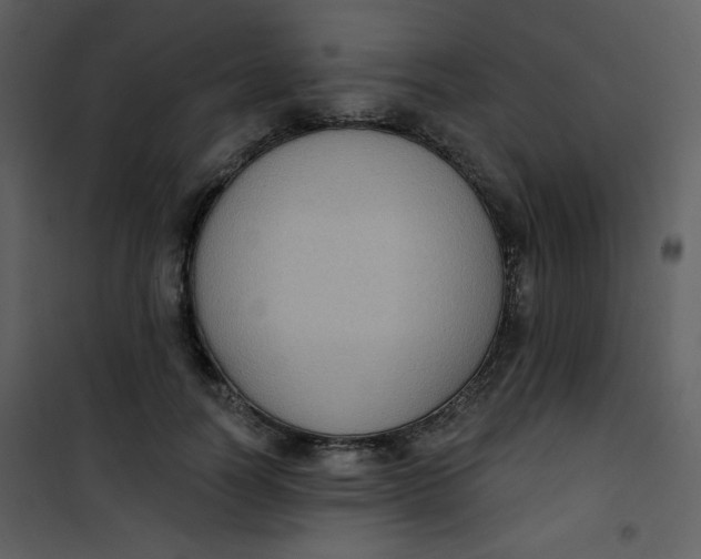 X0000101150746200807181334