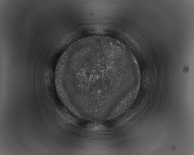 X0000101150747200807181334