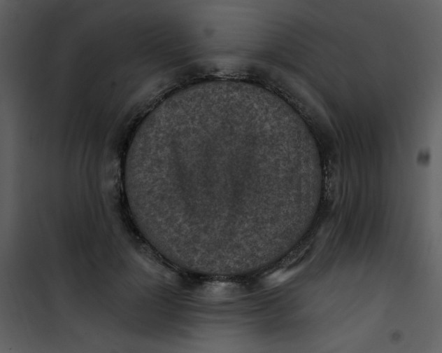 X0000101150748200807181334