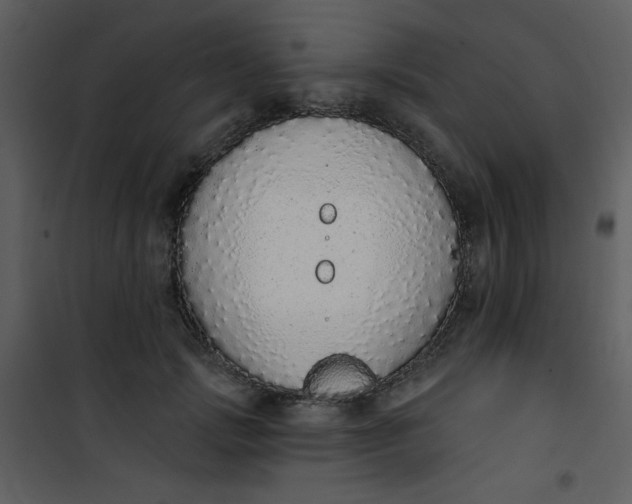 X0000101150749200807181334