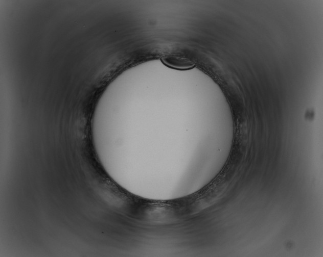 X0000101150750200807181334