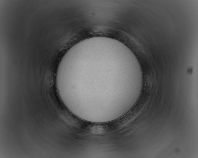 X0000101150751200807181334