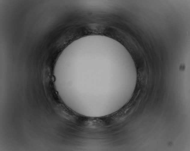 X0000101150752200807181334