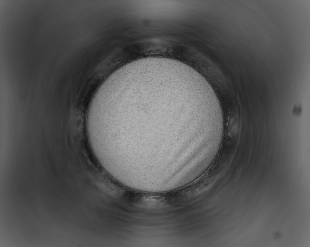 X0000101150753200807181334