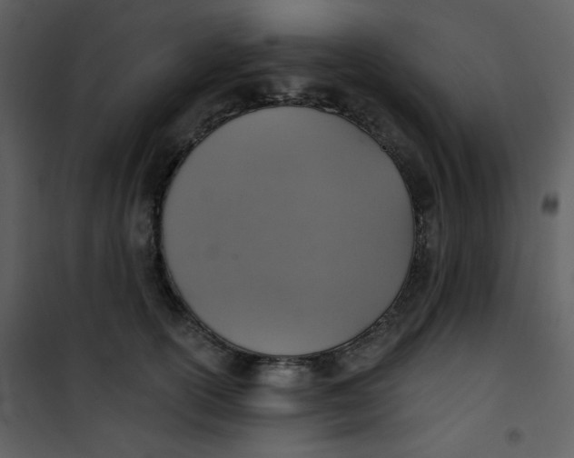 X0000101150754200807181334