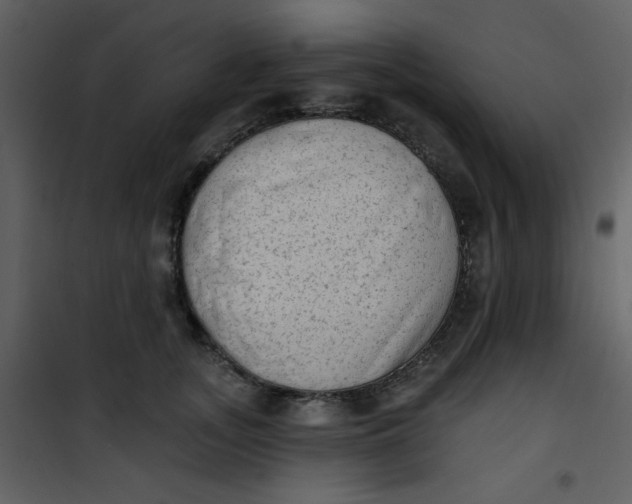 X0000101150755200807181334