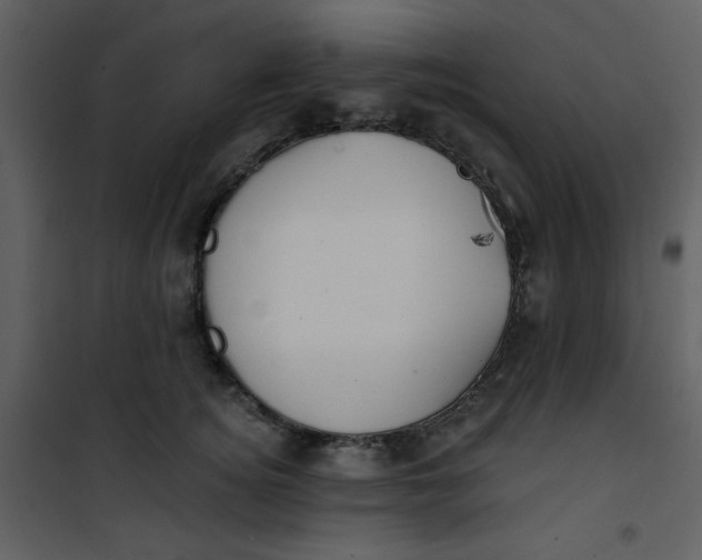 X0000101150756200807181334