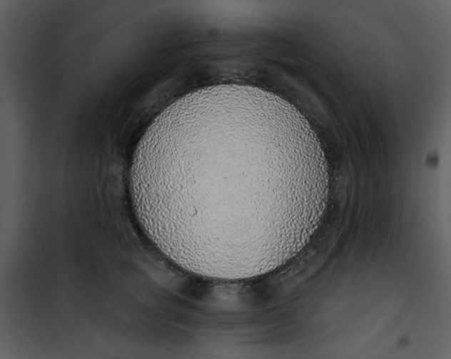 X0000101150757200807181334