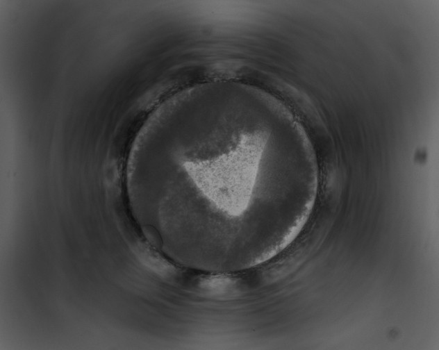 X0000101150759200807181334