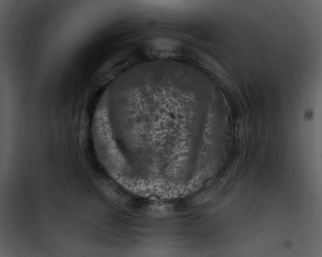 X0000101150760200807181334