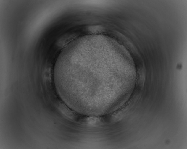 X0000101150762200807181334