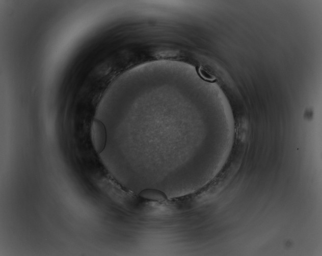 X0000101150763200807181334