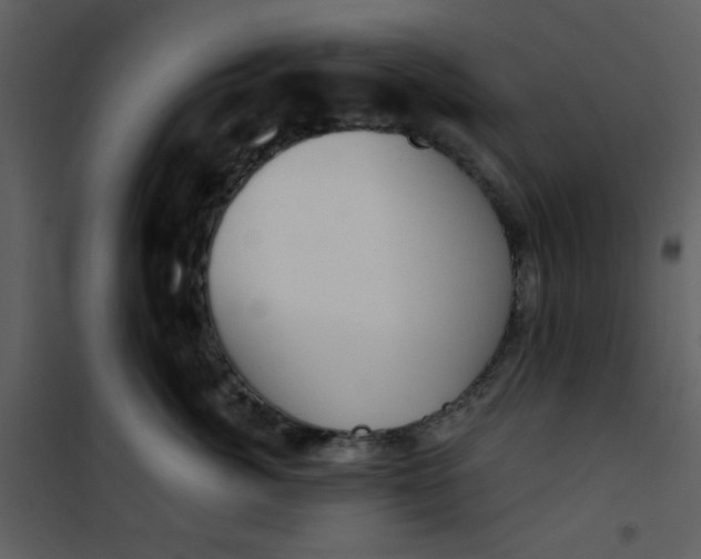 X0000101150764200807181334