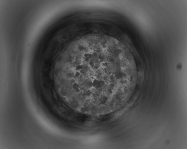 X0000101150765200807181334