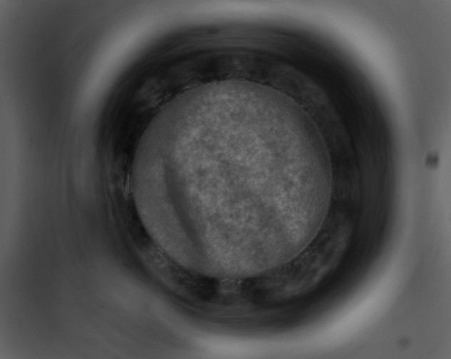 X0000101150766200807181334