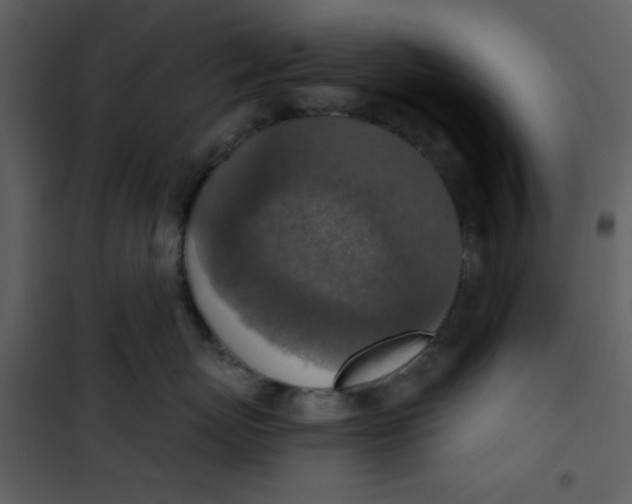 X0000101150767200807181334