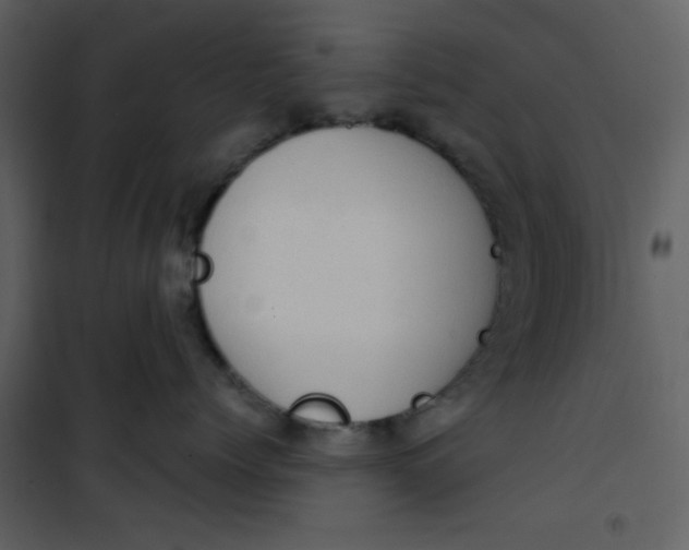 X0000101150768200807181334