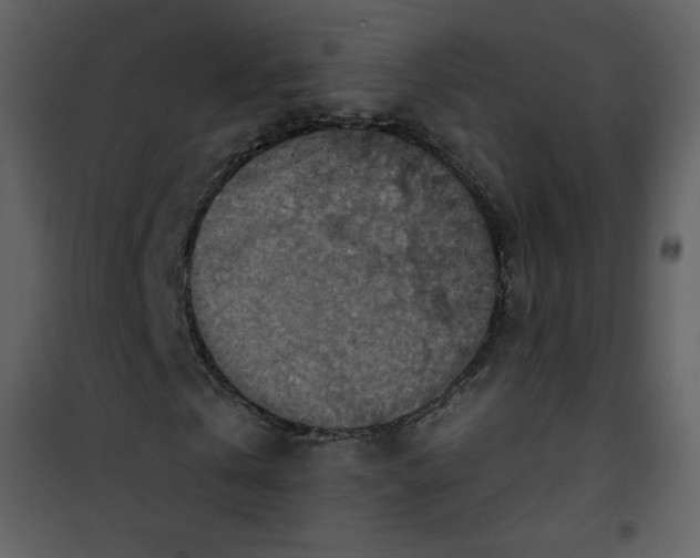 X0000101150769200807181333