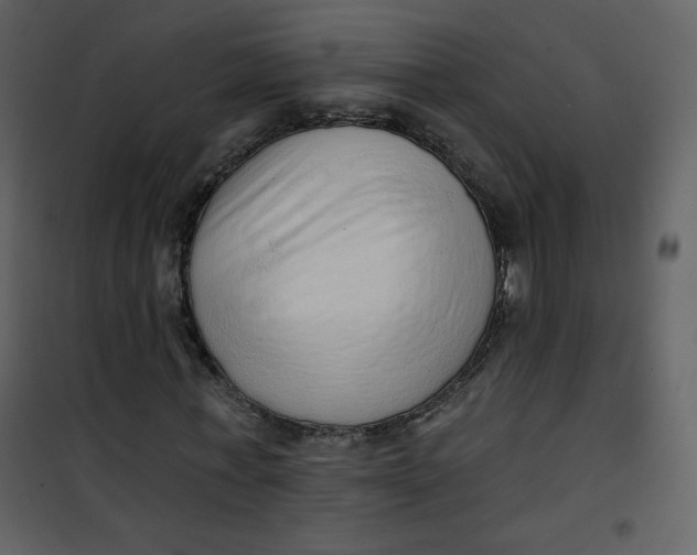 X0000101150771200807181333