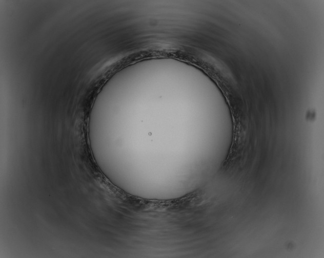 X0000101150773200807181333