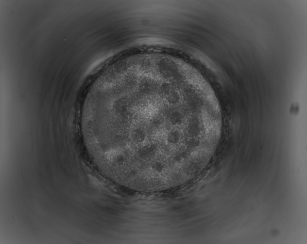 X0000101150775200807181333