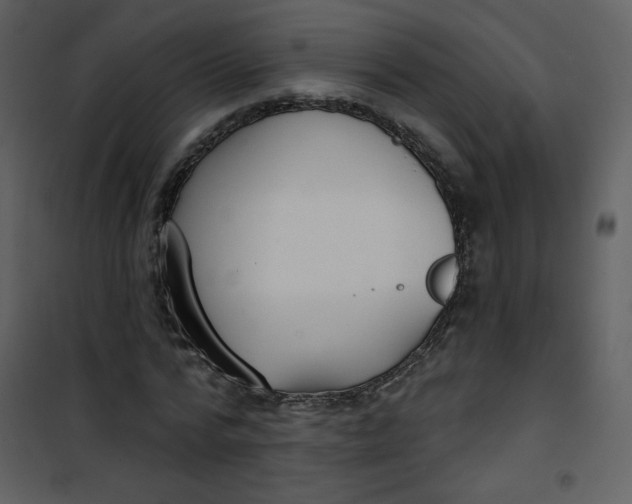 X0000101150776200807181333