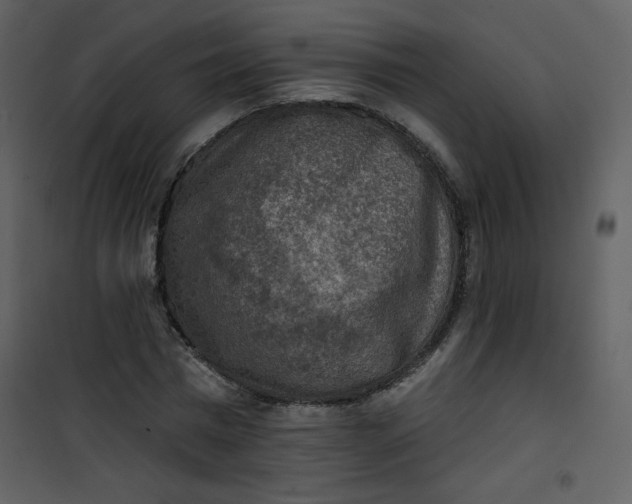 X0000101150777200807181333