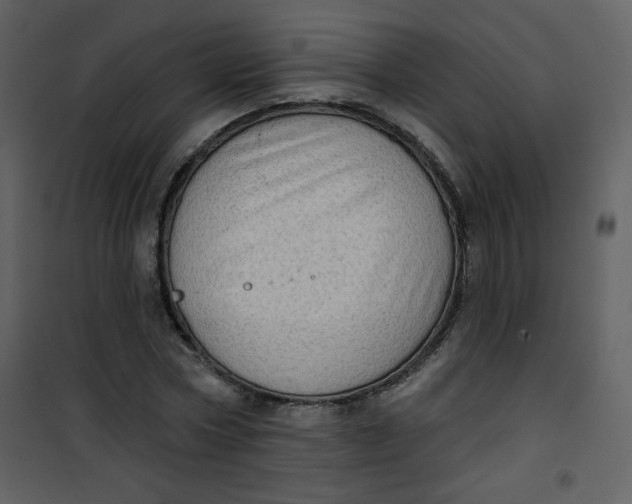 X0000101150778200807181333