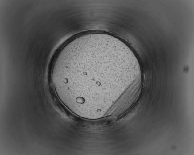 X0000101150780200807181333