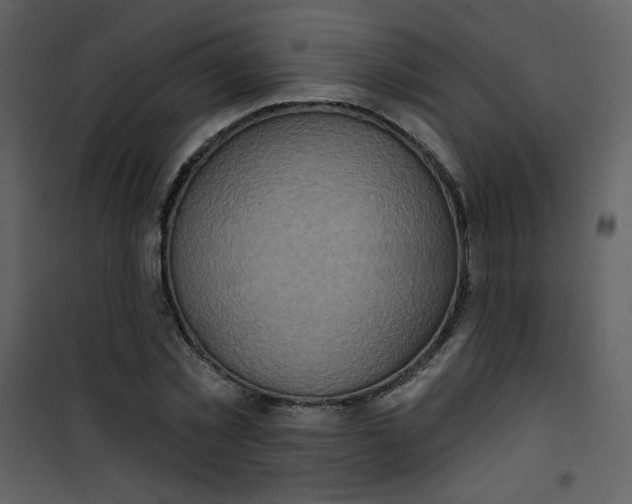 X0000101150781200807181333