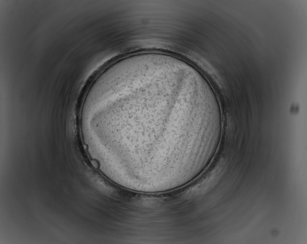 X0000101150782200807181333