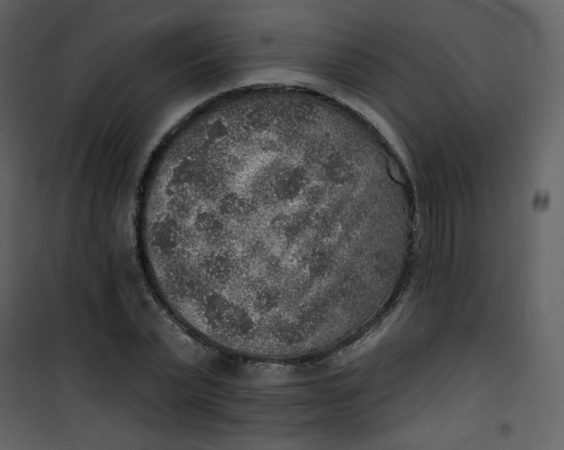 X0000101150783200807181333