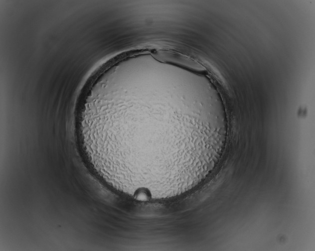 X0000101150784200807181333