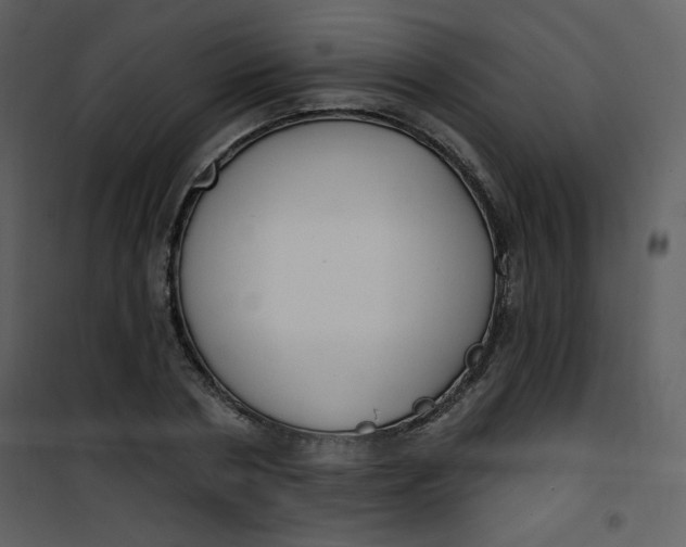 X0000101150786200807181333