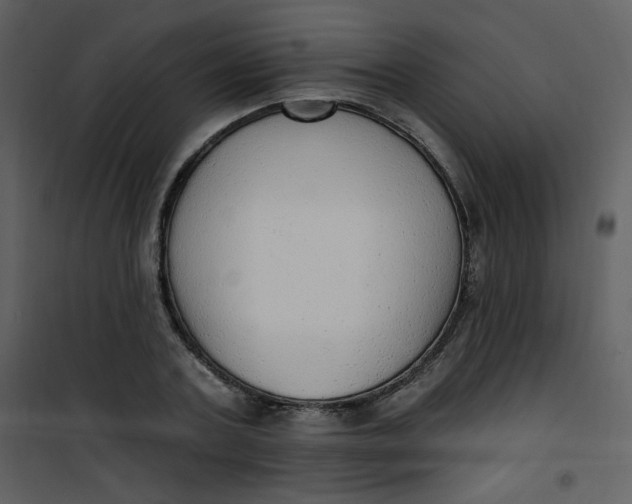 X0000101150787200807181333