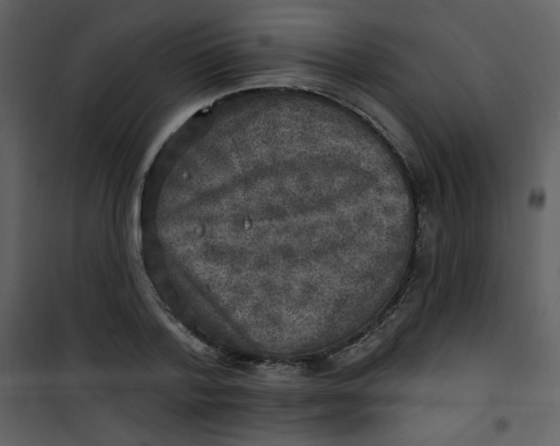 X0000101150788200807181333