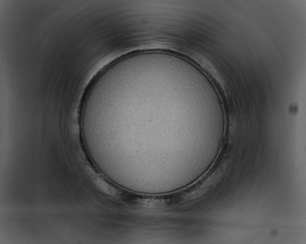 X0000101150789200807181333