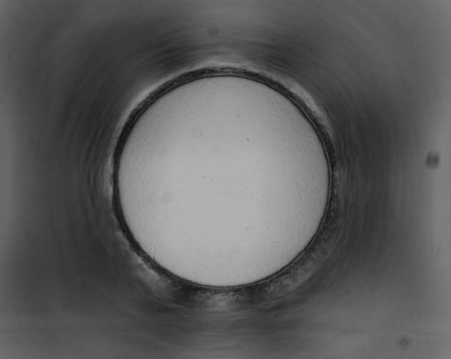 X0000101150791200807181333