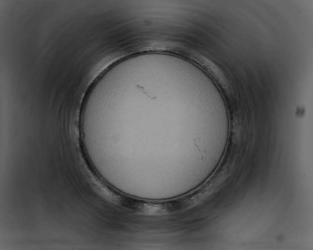 X0000101150794200807181332