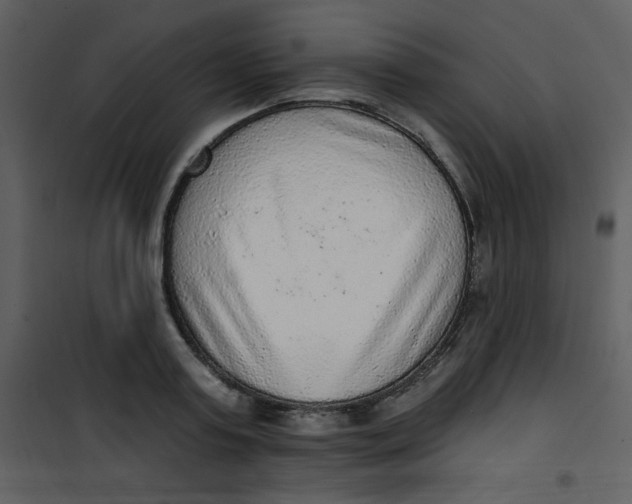 X0000101150795200807181332