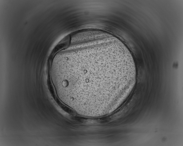 X0000101150796200807181332