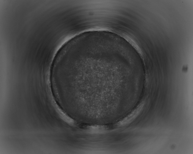 X0000101150797200807181332